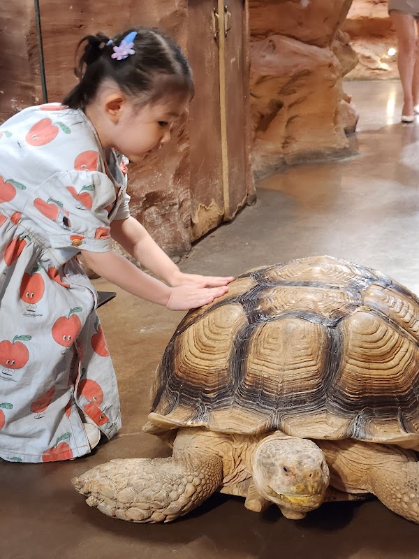 Zoolung Zoolung Hanam 2