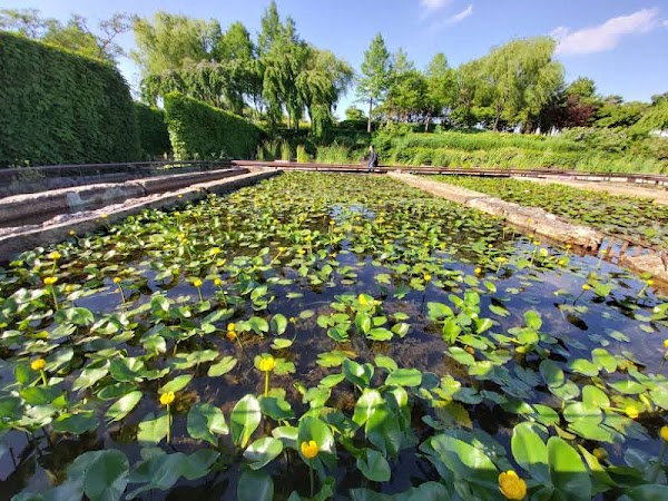 Seonyudo Park 2
