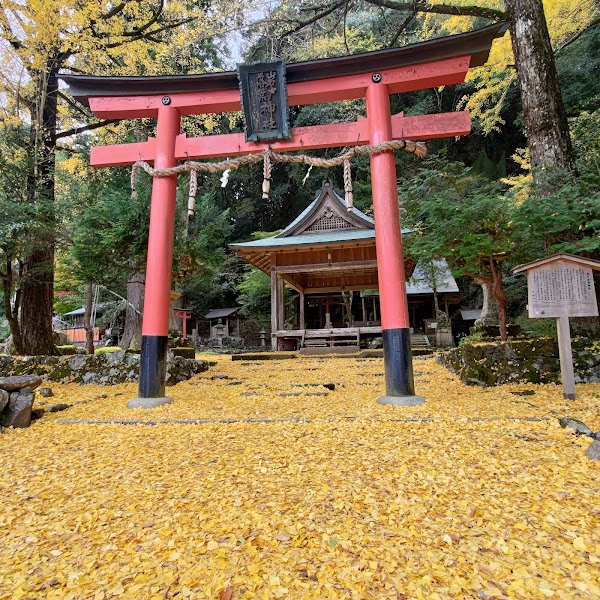 Japan 37