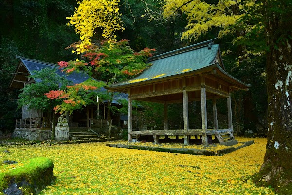 Iwato Ochiba Shrine 4