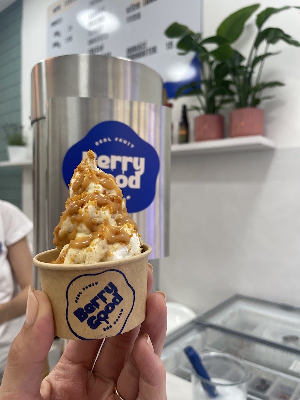 BERRY GOOD - Real Fruit Ice Cream 3