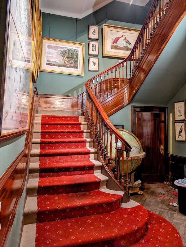 Arader Galleries 2