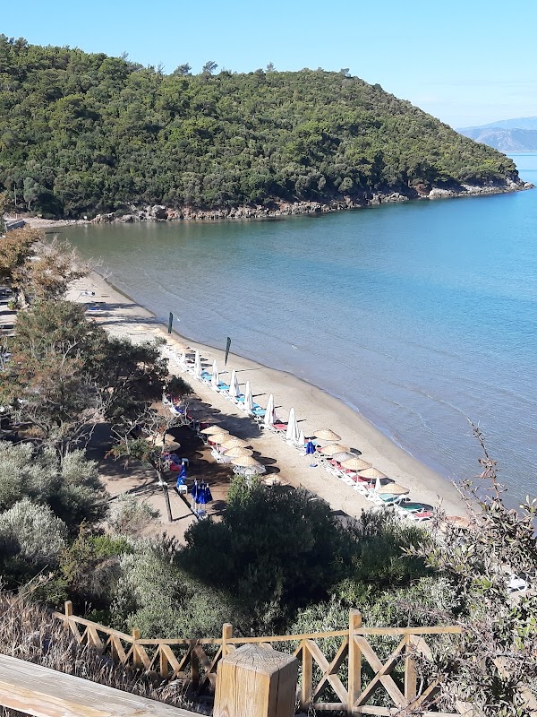 Güzelçamlı