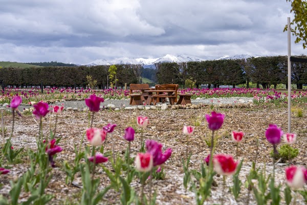 Woodstone Farm