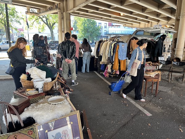 BQ Flea 1