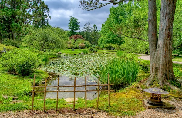 Hammond Museum & Japanese Stroll Garden 1