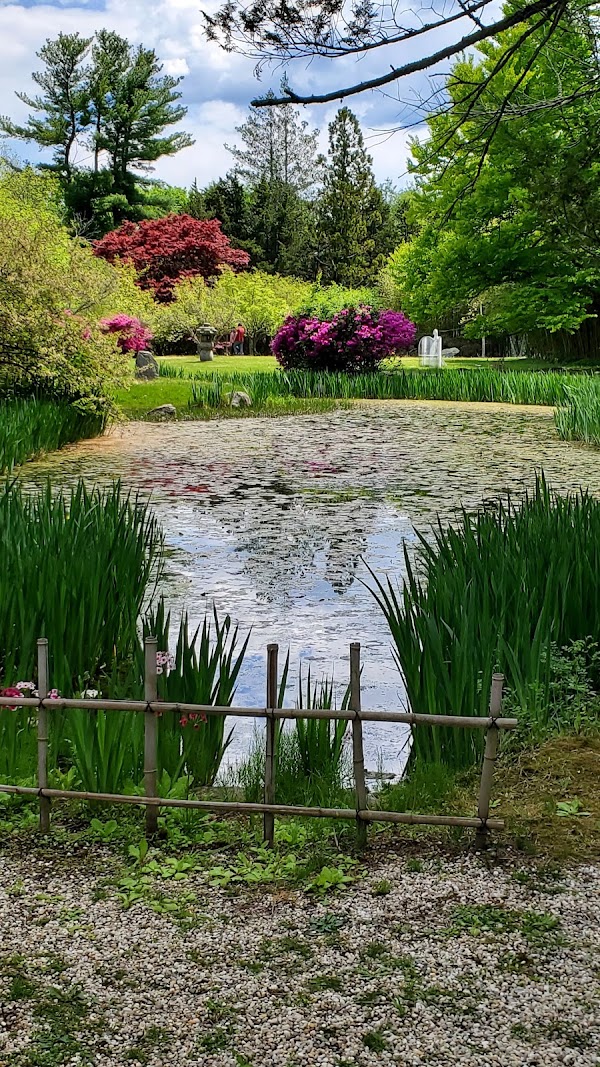 Hammond Museum & Japanese Stroll Garden 5