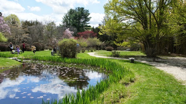 Hammond Museum & Japanese Stroll Garden 4