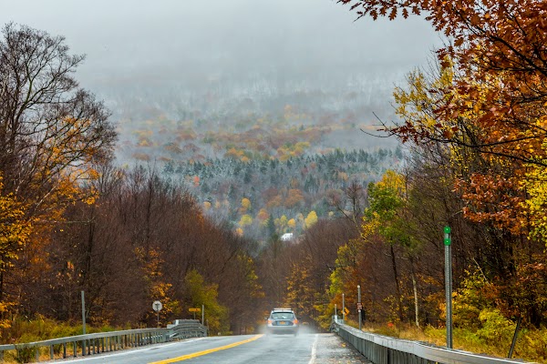 Catskill
