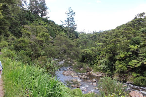 Karangahake Windows Walk 1
