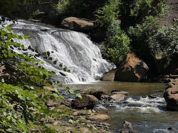 Reedy River