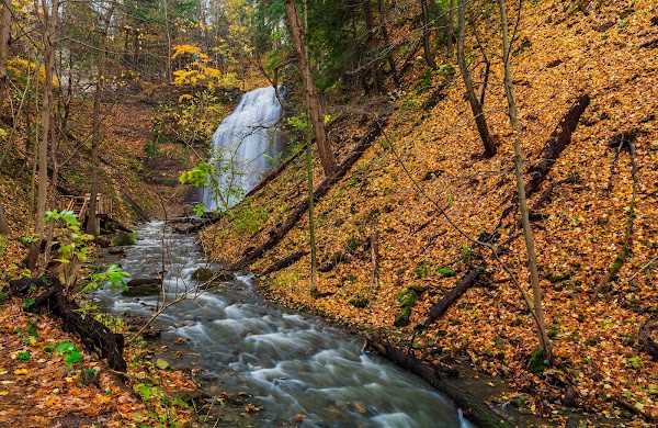 Tiffany Falls 5