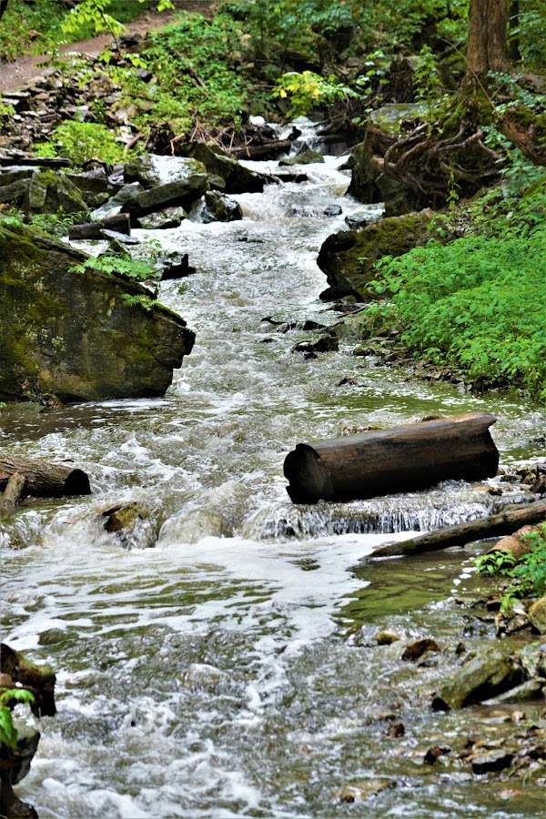 Tiffany Falls 2