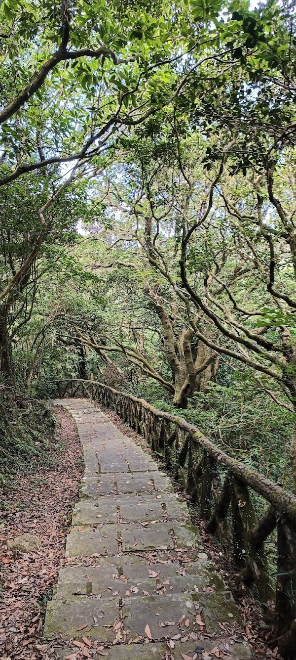 🇹🇼Taipei (Nature) 10