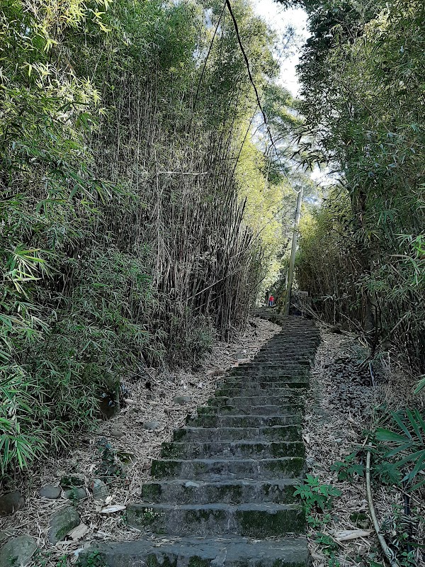 Zhongzhengshan Trail 5
