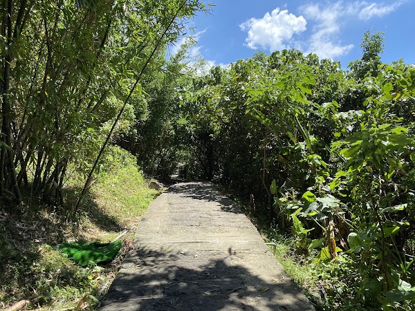 Zhongzhengshan Trail 2