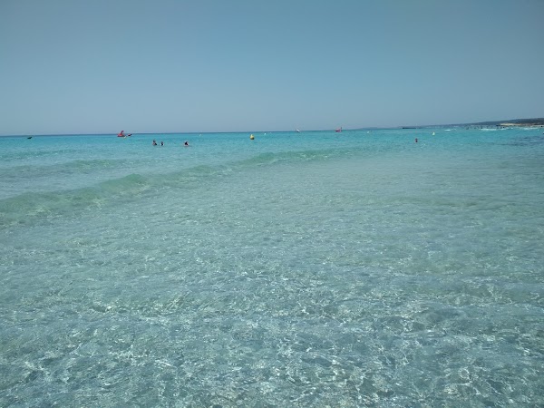 Cala Mitjana 4