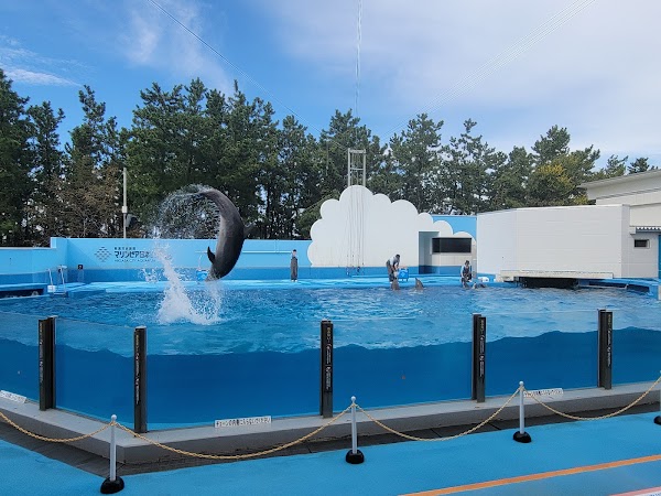 Niigata City Aquarium Marinepia Nihonkai (Sea of Japan) 5