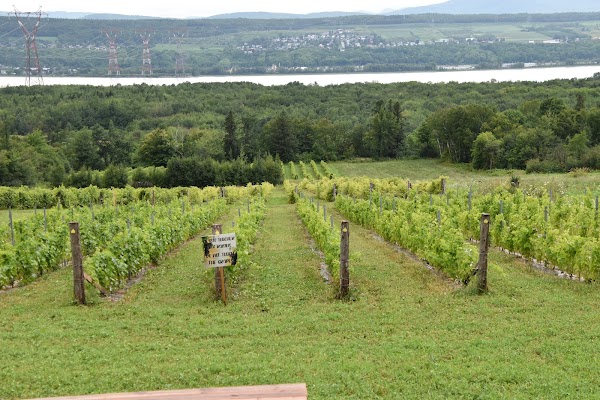 Vignoble Isle de Bacchus 5