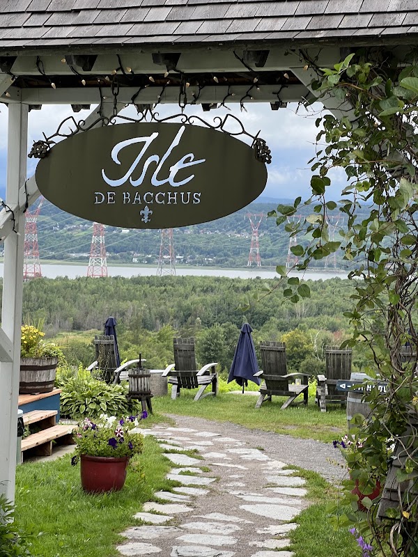 Vignoble Isle de Bacchus 4