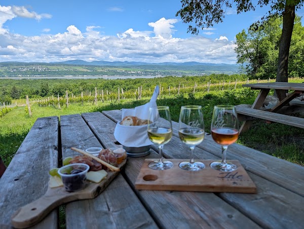 Vignoble Isle de Bacchus 3