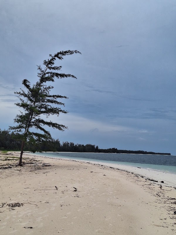 Bugsuk Island 1