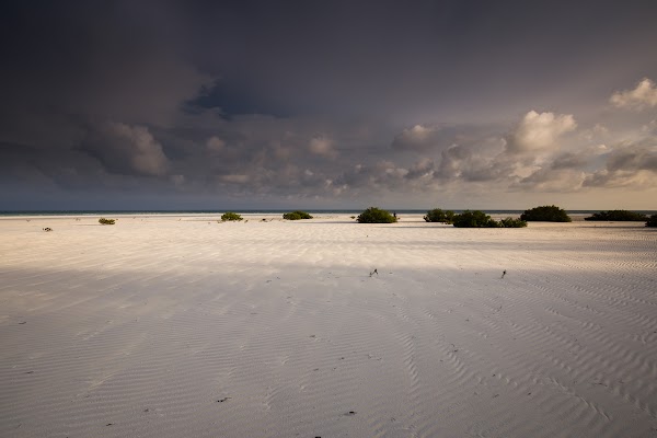 Bugsuk Island 4