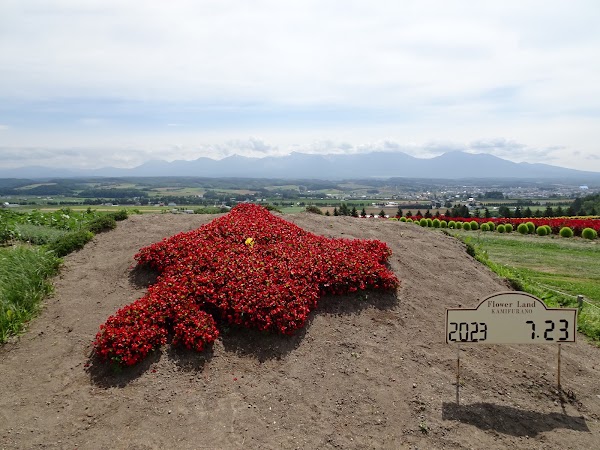 Flower Land Kamifurano 2