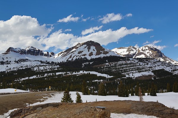 Colorado 36