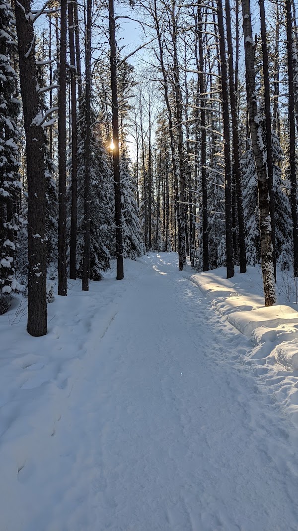 Tamarack Nature Trail