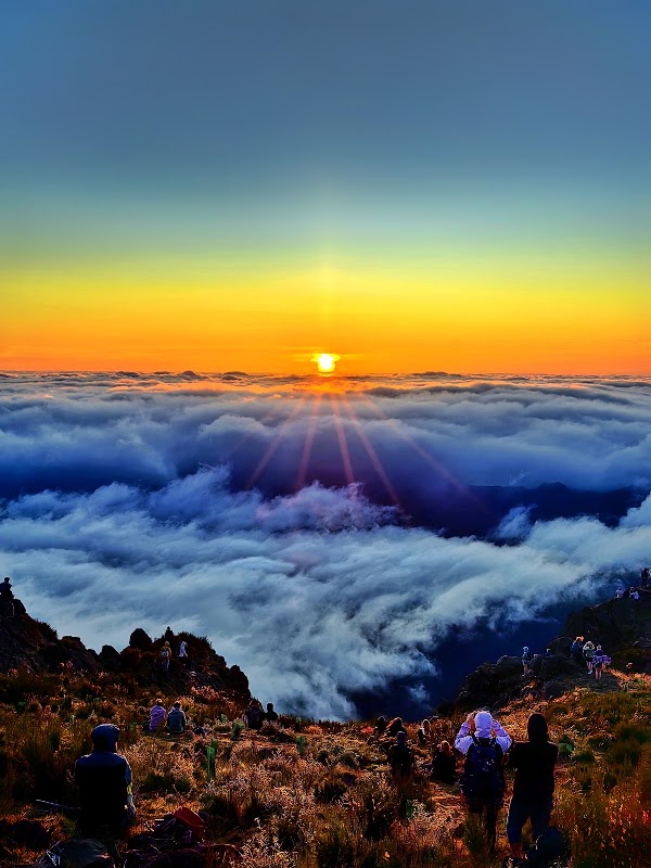 Miradouro do Juncal 4