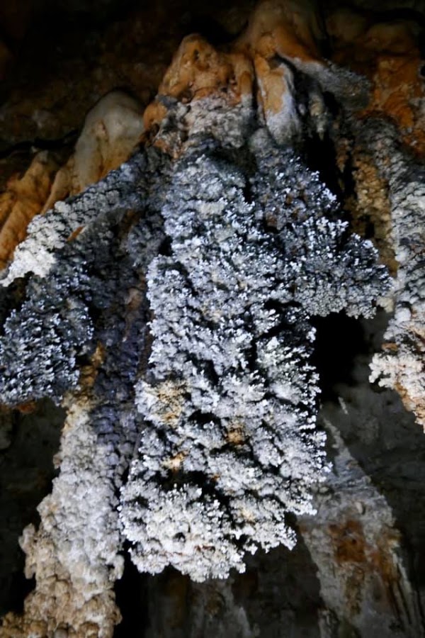 Hoq Cave 3