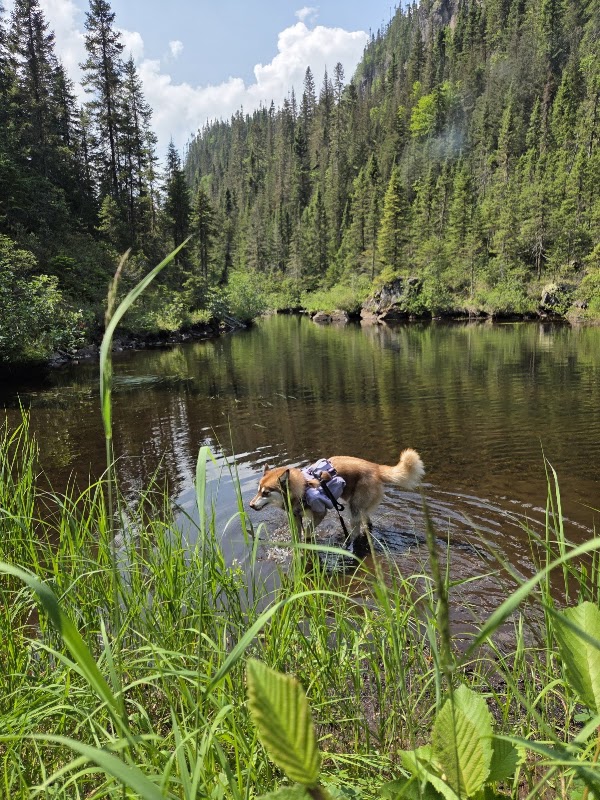Départ du sentier pour la chute des Martres