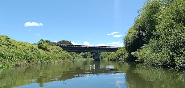 Pokaiwhenua Stream