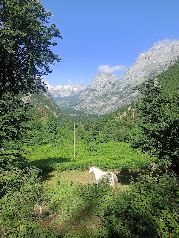 Çerem 1