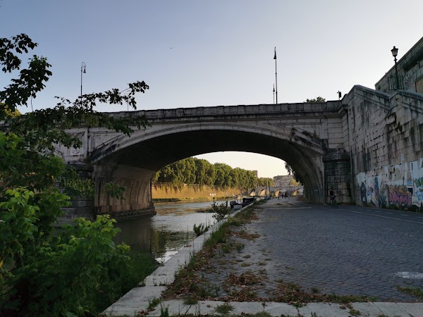 Ponte Guglielmo Marconi 5