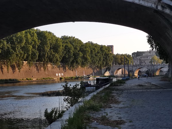 Ponte Guglielmo Marconi 4