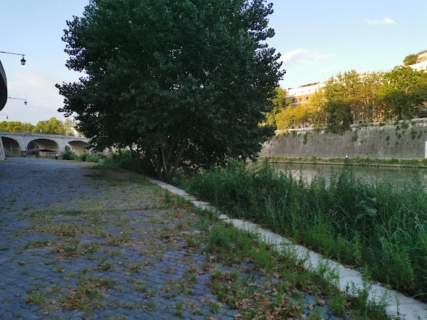 Ponte Guglielmo Marconi 3