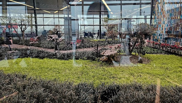 Tianfu International 5