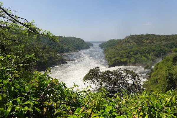Murchison Falls National Park 5