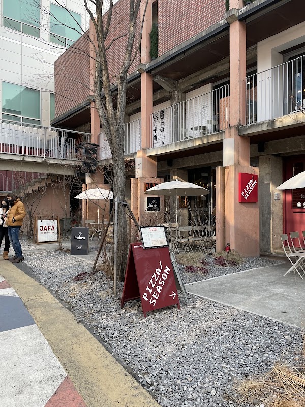 Cherry Blossom 🌸 11