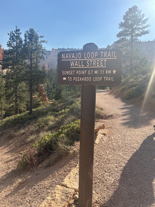 Peekaboo Loop Trail 4