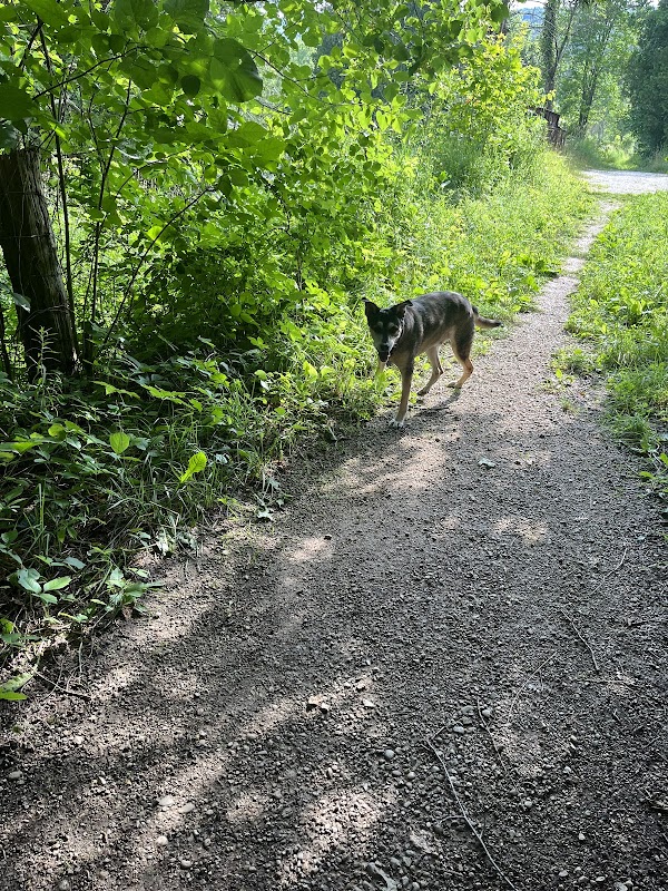 Beaver Valley Hiking Trails 3