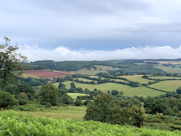 Quantock Hills