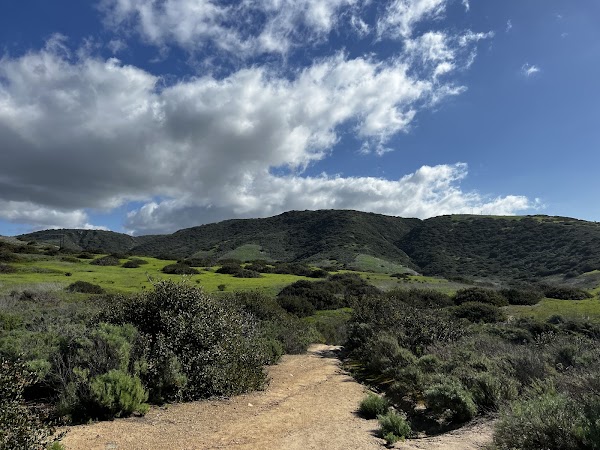 Crystal Cove State Park 4
