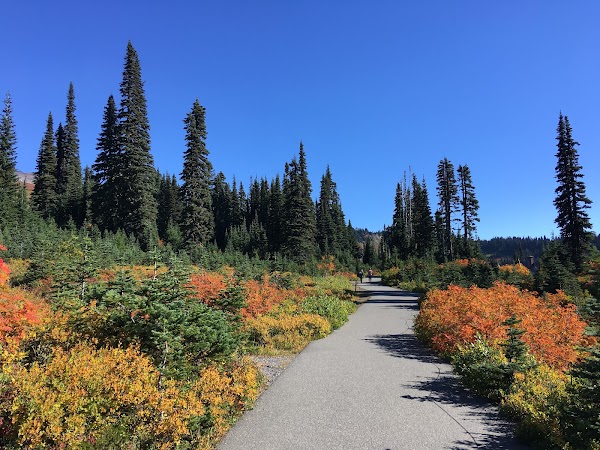 Skyline Trail 1