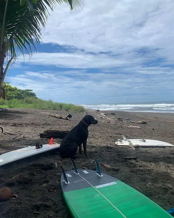 Jaco 2