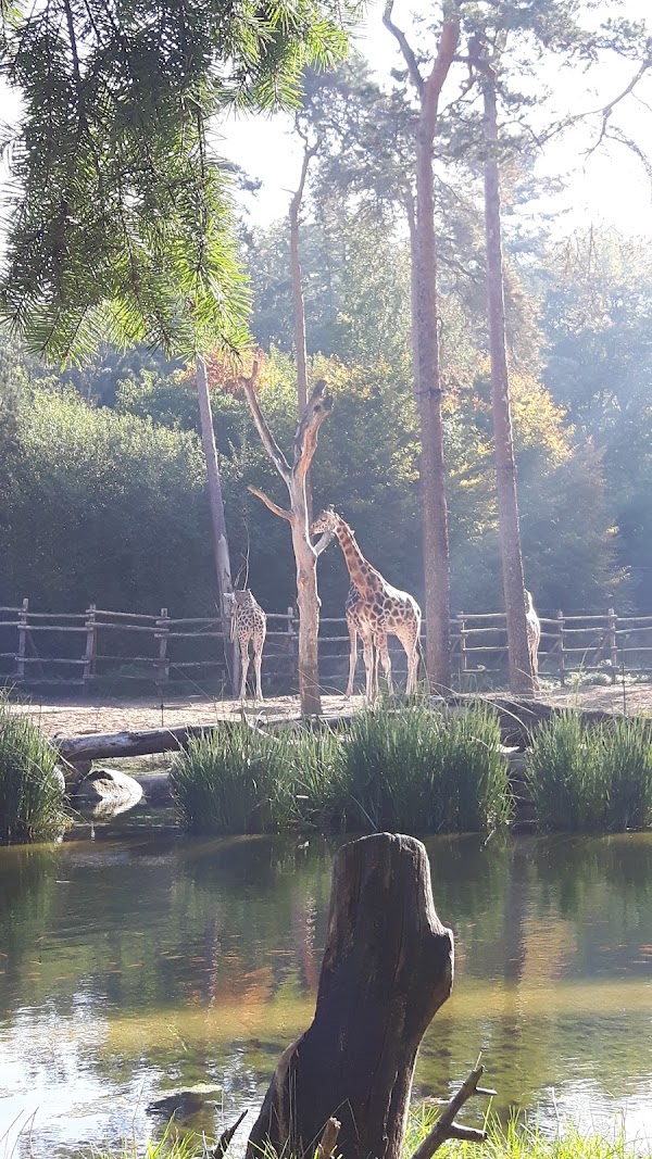 Bosbad Amersfoort 2