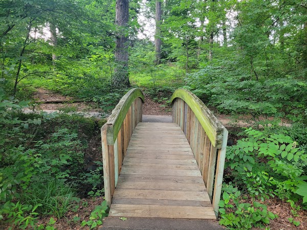 Latta Park 3