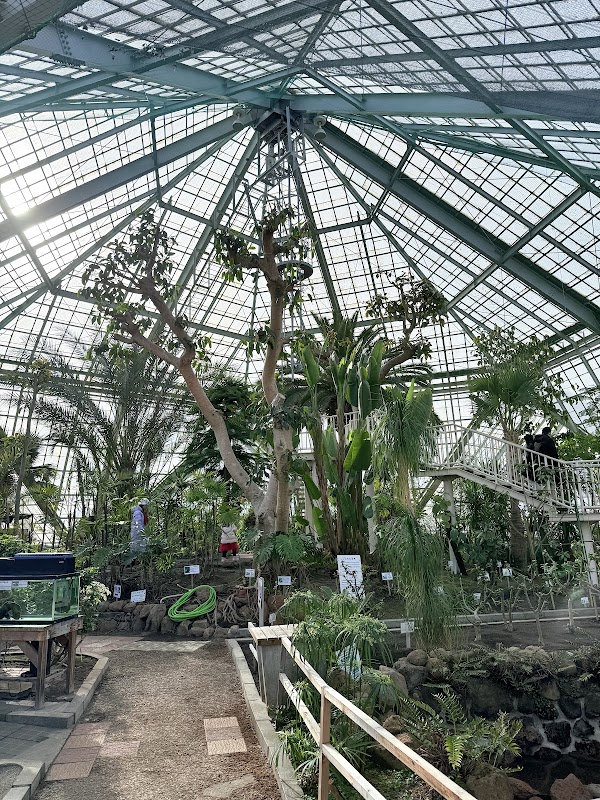 Hakodate Tropical Botanical Garden (Hot-Tubbing Monkeys) 5